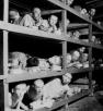jews at concentration camp